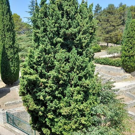 Grande Terrasse Et Vue Sur Le Site Antique Apartment Vaison-la-Romaine Bagian luar foto